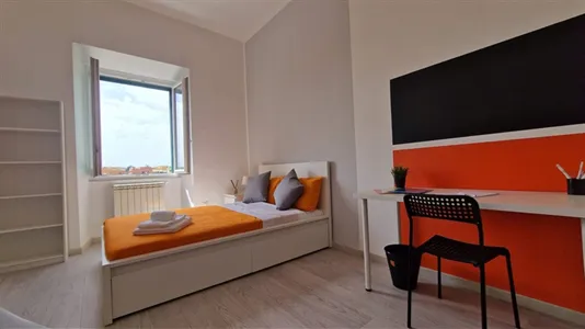 Rooms in Roma Municipio VIII – Appia Antica - photo 6