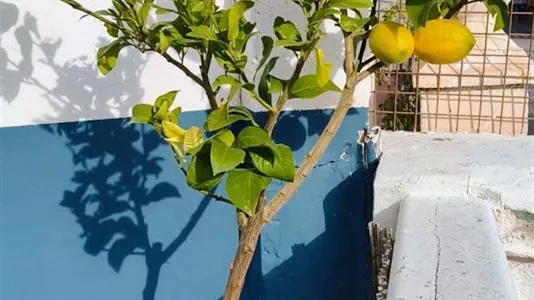 Rooms in Burjassot - photo 10