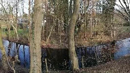 Rooms in Hamburg Wandsbek - photo 8