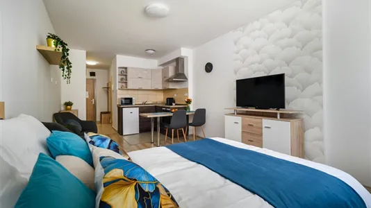 Apartments in Budapest Ferencváros - photo 9