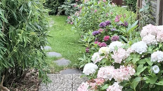 Houses in Segeberg - photo 3