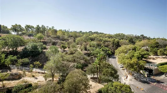Apartments in Barcelona Sants-Montjuïc - photo 9