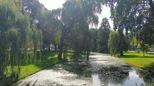 Rooms in Location is not specified - photo 9