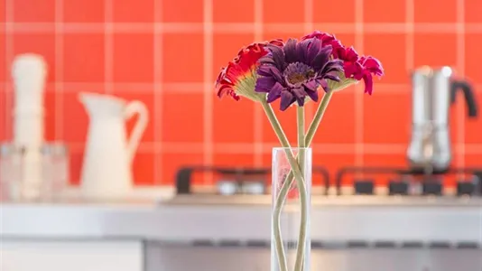 Rooms in Milano Zona 8 - Fiera, Gallaratese, Quarto Oggiaro - photo 10