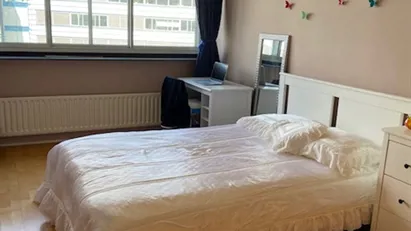 Room for rent in Rotterdam