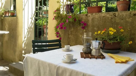 Apartments in Pisa - photo 4