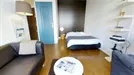 Apartment for rent, Lyon, Auvergne-Rhône-Alpes, Rue Ney, France