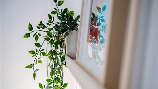 Rooms in Madrid Tetuán - photo 4