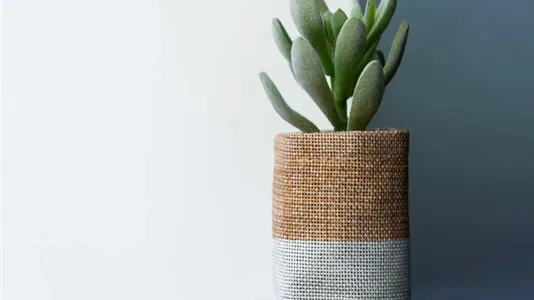 Rooms in Milano Zona 6 - Barona, Lorenteggio - photo 6