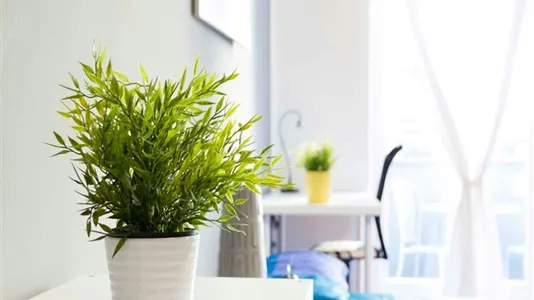 Rooms in Milano Zona 2 - Stazione Centrale, Gorla, Turro, Greco, Crescenzago - photo 10