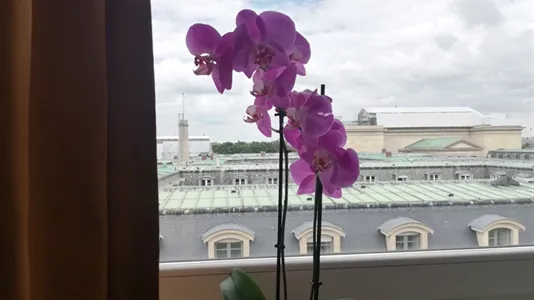 Apartments in Paris 7ème arrondissement - photo 4