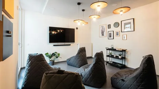 Apartments in Dresden - photo 6