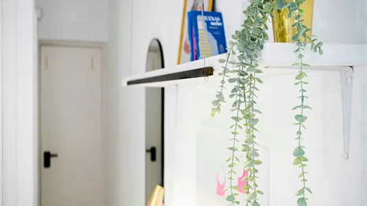 Rooms in Madrid Centro - photo 1