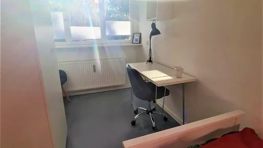 Rooms in Bonn - photo 7