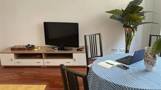 Apartments in Vienna Alsergrund - photo 4