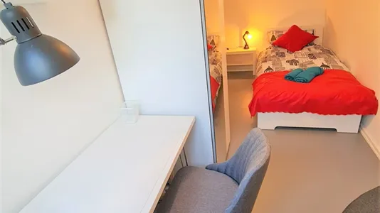 Rooms in Bonn - photo 5