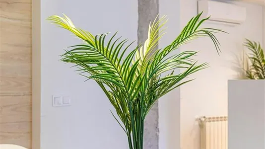 Rooms in Madrid Fuencarral-El Pardo - photo 7