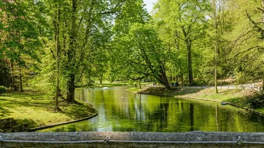 Rooms in Brussels Schaarbeek - photo 9