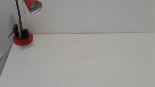 Rooms in Roma Municipio III – Monte Sacro - photo 4