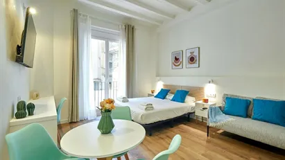 Apartment for rent in Barcelona Ciutat Vella, Barcelona