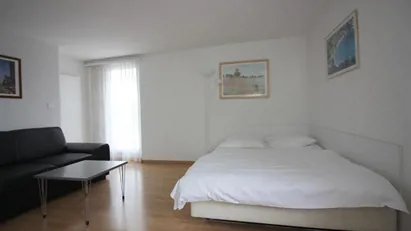 Apartment for rent in Zürich District 3 - Wiedikon, Zürich