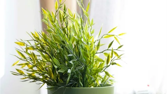 Rooms in Milano Zona 3 - Porta Venezia, Città Studi, Lambrate - photo 8