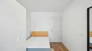 Room for rent, Graz, Steiermark, Waagner-Biro-Straße, Austria