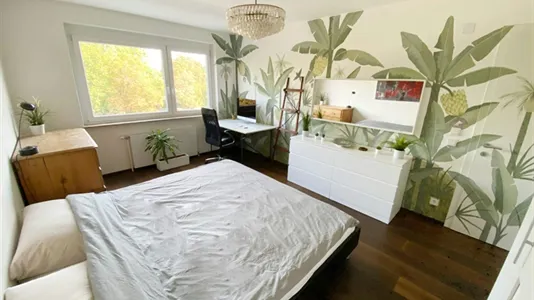 Apartments in Graz - photo 4