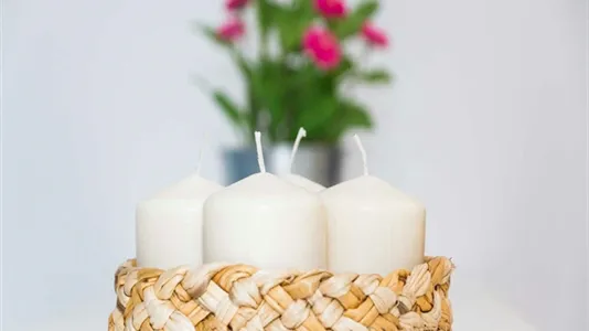 Rooms in Milano Zona 2 - Stazione Centrale, Gorla, Turro, Greco, Crescenzago - photo 6