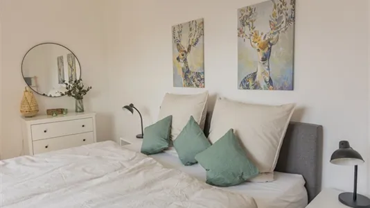 Apartments in Lippe - photo 6