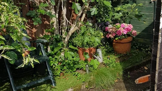 Rooms in Stichtse Vecht - photo 9