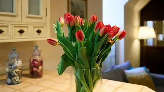 Apartments in Warszawa Śródmieście - photo 7