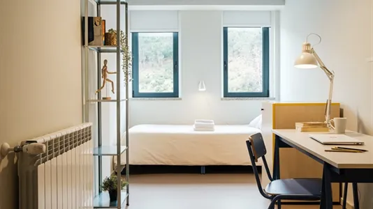 Apartments in Covilhã - photo 5
