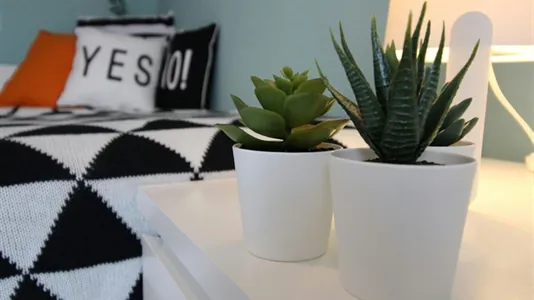 Rooms in Brescia - photo 4