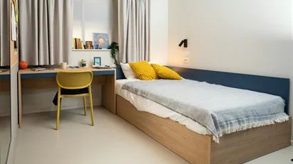 Room for rent in Florence, Toscana