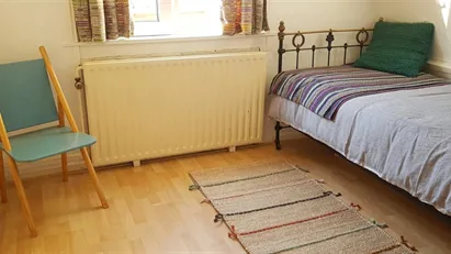 Apartment for rent in Leiden, South Holland