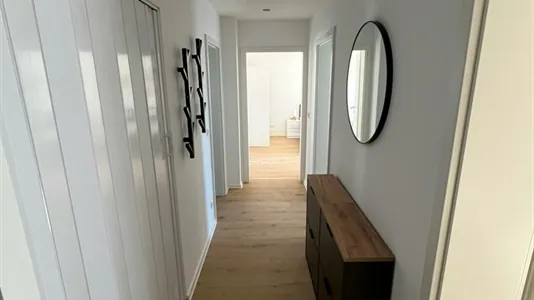 Rooms in Regensburg - photo 3