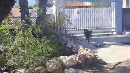 Houses in Bétera - photo 1