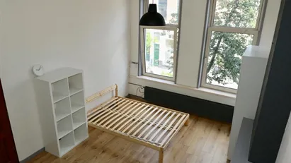 Room for rent in Rotterdam