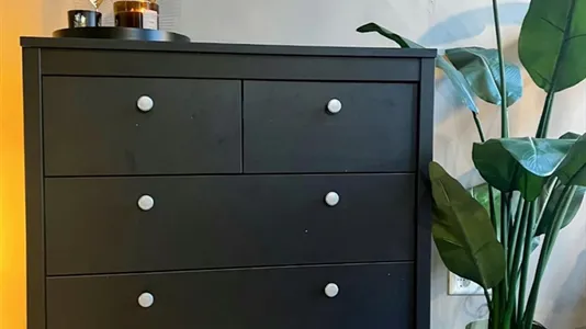 Apartments in Schiedam - photo 4