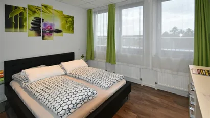 Apartment for rent in Frankfurt (region)