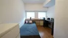 Room for rent, Łódź, Łódzkie, &lt;span class=&quot;blurred street&quot; onclick=&quot;ProcessAdRequest(9288137)&quot;&gt;&lt;span class=&quot;hint&quot;&gt;See streetname&lt;/span&gt;[xxxxxxxxxxxxx]&lt;/span&gt;