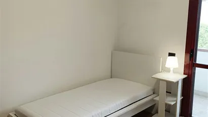 Room for rent in Florence, Toscana