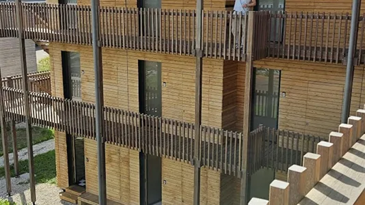 Apartments in Katwijk - photo 2