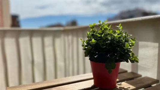 Rooms in Zaragoza - photo 5