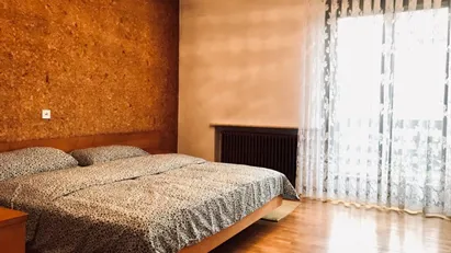 Room for rent in Besnica, Osrednjeslovenska