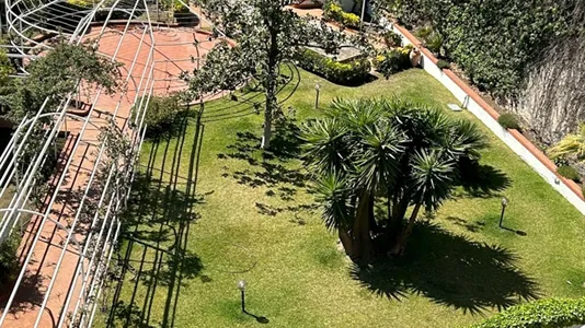 Houses in Catania - photo 5