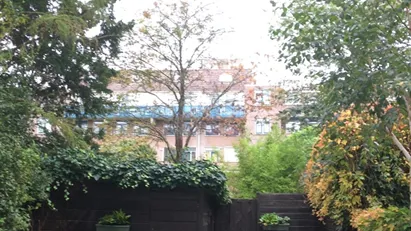 Room for rent in Rotterdam