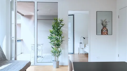 Apartments in Basel-Stadt - photo 8