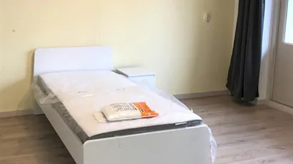 Room for rent in Rotterdam